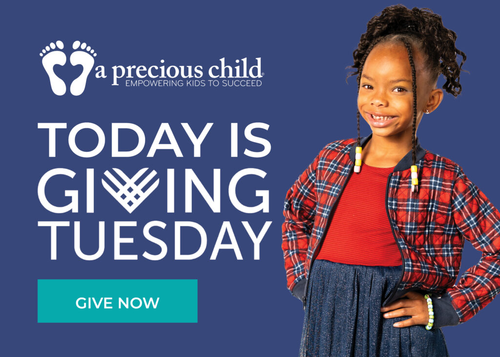 Today is Giving Tuesday, support A Precious Child.